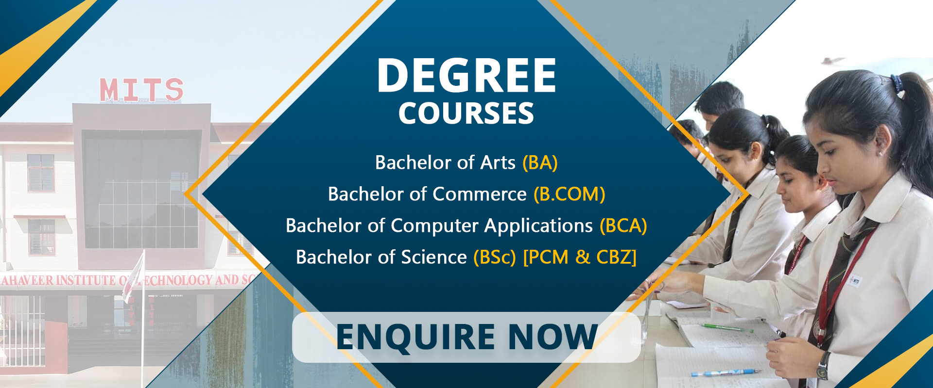 Degree Courses
